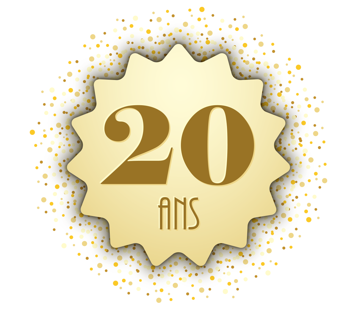 20 ans d'experience Design Sols 67